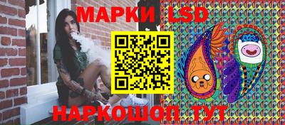 крисы Заводоуковск