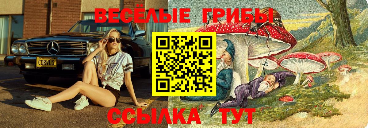 Галлюциногенные грибы Psilocybe Ливны