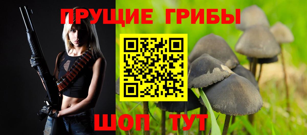 Псилоцибиновые грибы GOLDEN TEACHER  Вход с VPN  Ливны 